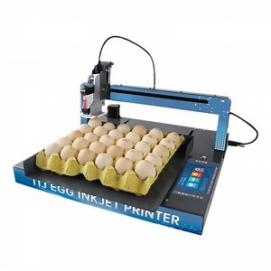 [Hot Item] Fully Automatic Egg Inkjet Printer, Small Tray Printing Production Date Serial Number