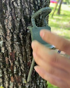 41K views · 49 reactions | Tree Climbing Hack Everyone Should See! | Earth Wonders | Facebook