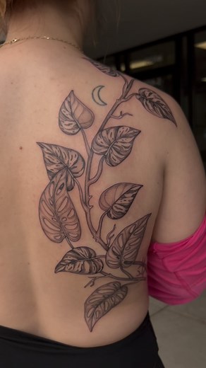 Variegated pothos and monstera adansonii back piece💚 • • • • • Plant Tattoo, Pothos, pothos tattoo, marble queen pothos, leg sleeve, leg tattoo, botanical tattoos, Pothos vine, vine tattoo, fort collins, tattoo artist, colorado tattoo artist, denver, loveland, houseplants, back tattoo, back tattoos for women, vining plant, monstera tattoo, monstera adansonii, monstera vine | Amanda Coykendall