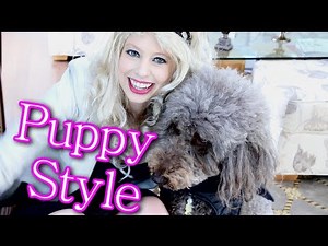 PUPPY STYLE | XTINEMAY