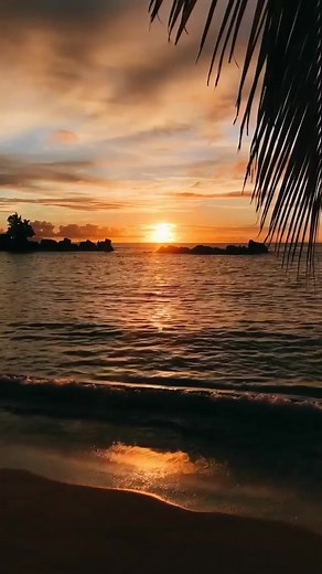 1.6K views · 313 reactions | Beautiful Nature Pictures on Reels | Facebook