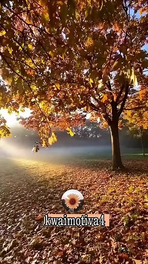 Ana Nascimento on Reels