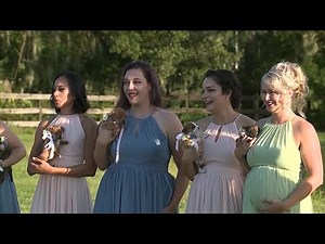 Bridesmaids carry puppies instead of flowers to support local shelter