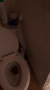 Verbal solid poop with ah grunting flush