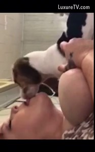 SLUTS KISS MUTTS! NEW DOG KISSING COMPILATION