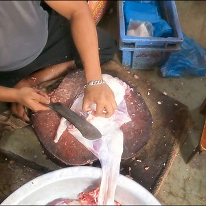 72K views · 454 reactions | Goats Market In Bangladesh Fastest Goats...