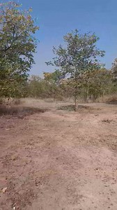 ATKV-Eiland Spa Nog nuus! | ATKV-Eiland Spa