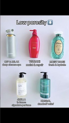 Low vs high porosity shampoos ⬇️⬆️ get the right shampoo for your hair type!