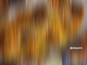 31K views · 120 reactions | During Eid-ul-Adha | Ali Qasim | Facebook