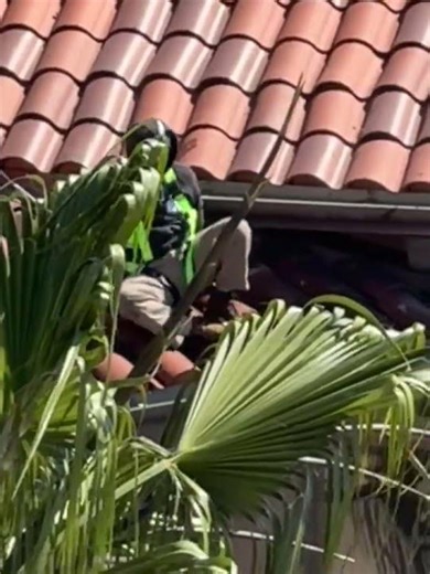 Rain Gutter Cleaning