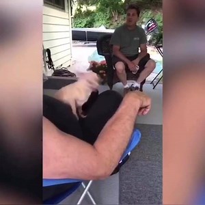 11K views · 179 reactions | Watch the full compilation:...