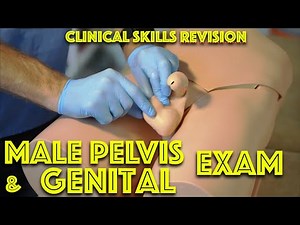 Male Genital Examination - Penis and Testicle Exam - Medical School Clinical Skills Revision