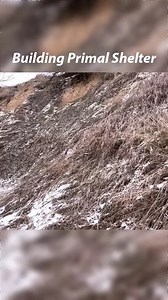 18K views · 407 reactions | Building Primal Shelter | Dungannon Thomas Clarkes | Facebook