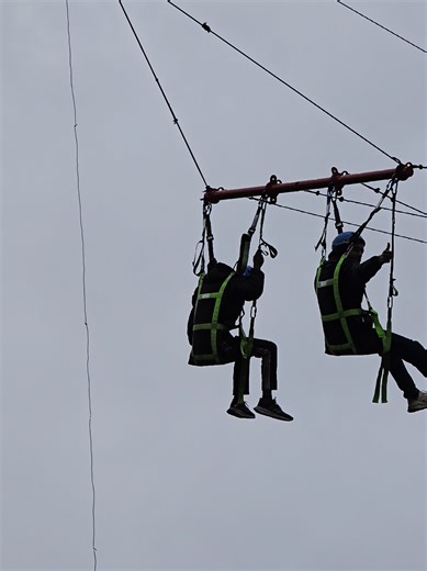 Swing into Adventure with Your Best Friend