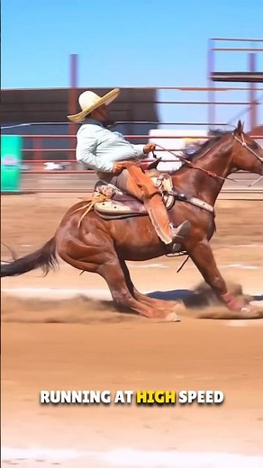 How Horse Stops immediately 😳