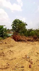 two plots at imo.mordern market extension Egbeada (Riverside) buy and build Plot 82 & plot 50 Government allocation paper. Price :6.5m Call: 07034513052 Owerri Property Search | Prince Kelechi Iwueze