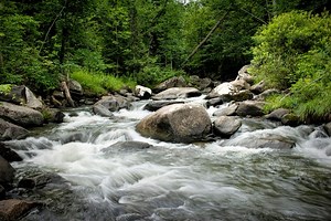 Vermont River Landscape Photography: Flowing Woodland Stream Art Print - Etsy