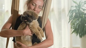 「女性は犬と脇の下にハンモック生地を持っています。ハンモックで揺れるヨガスペースで長いトレーニングの後にペットを見て幸せな女性アスリート」の動画素材（ロイヤリティフリー）3412181799 | Shutterstock