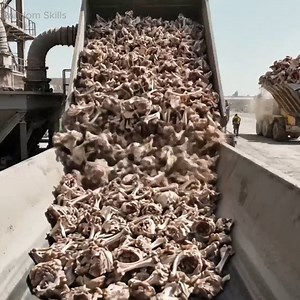 64K views · 727 reactions | Inside an Recycling Bones Process — How Bones Are Into T-Shirts and Bone Buttons! #RecyclingBones #recycling | Random Skills | Facebook