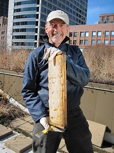 A bee wrangler shows you how to mind your own beeswax