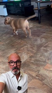 Conseils gratuit pour économiser de l’argent et pour que votre chien vivent plus longtemps… 🐶 #reelsvideoシ #animaux | Buppie