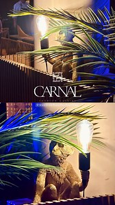 Grand Sirenis Riviera Maya Resort & Spa on Reels