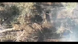 Zapad Group UAV Action October 31st 2024 : digitalfolklore : Free Download, Borrow, and Streaming : Internet Archive