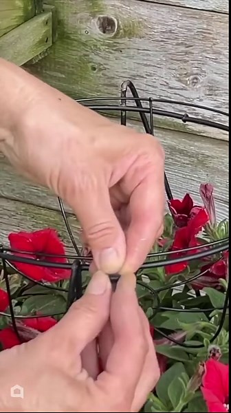Stick a Dollar Tree wire basket into a tomato cage for your porch! 😍
