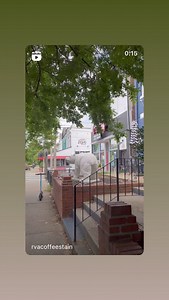 RVA Magazine on Reels