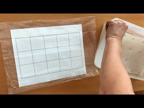 DIY Plantable Seed Sheet // Seed paper // Share Your Garden Wisdom