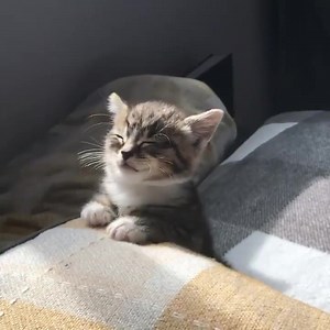 Morning 2022 壟 #Ultrafemme #Meme #memevideo | Ultrafemme | Facebook