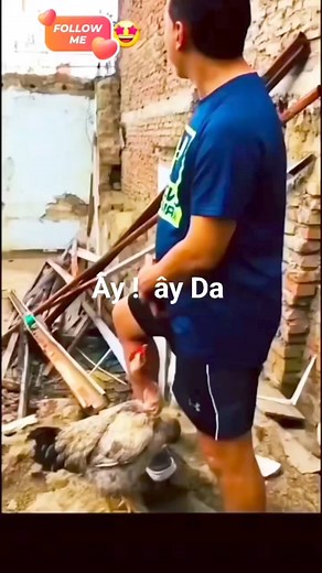 2.6K views | Ây da | laba.vn | Facebook