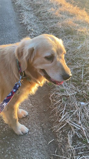 TikTokでウーナ.オニール.チャップリンさんをチェック！