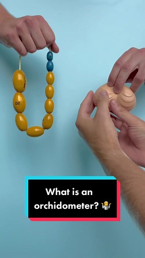 What is an orchidometer? 🤷 #testicular #orchidometer #testicularconditions #testessize #puberty #testesgrowth