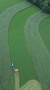 Cutting hay makes it rain everytime? #agriculture #timelapse #farmer #newholland #hay #farming #farm #familyfarm | Silver Farms