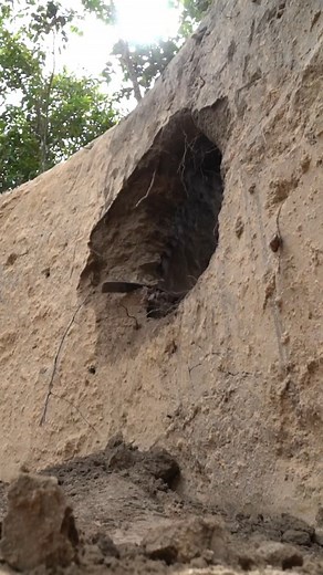 3.5K views · 26 reactions | Amazing Head Working! Build Tunnel Underground House | Primitive Unique Tool | Facebook