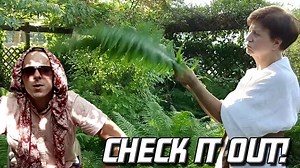 21 reactions · 3 comments | We've got a mystery on our hands!...