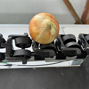 [Hot Item] Automatic Citrus Fruit Selection Machine, Yellow Peach Weight Classifier