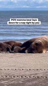 2.2M views · 93K reactions | One of the most peaceful moments of my...