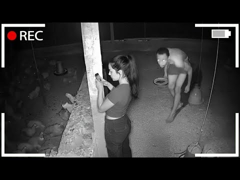 50 Real-Life Surprises Caught on CCTV – You Won’t Believe What Happens Next!