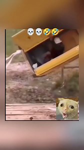 jajaja 😆😅 #memes | Not My Problem