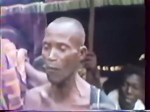 Conseil royal présenté par feu professeur Niangoran Bouah à Hérébo. Eminent professeur 👏 A royal ceremony of the Bono king Ofri tete 💪 #Credit : Bron Gyaman BonoPage Abonofoɔ MEKO BONO KAREEM CITIZEN TV | BRON magazine