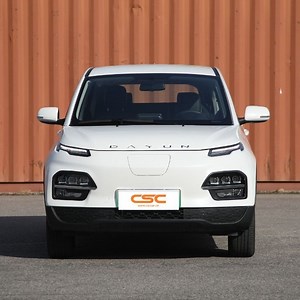 [Hot Item] Eco-Friendly Dayun Yuehu Green City Vehicle for Urban Commuting