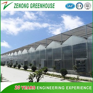 [Hot Item] Plastic Multispan Greenhouse for Vegetables/ Tomato/Cucumber/Egg Plant