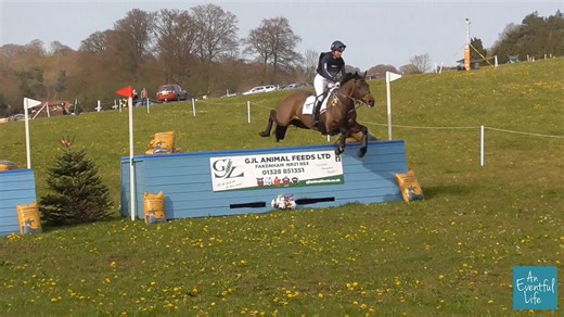 19 reactions | We’ll miss the great mare Vanir Kamira, who was...