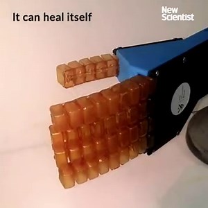 Self-healing polymers make for tougher soft robots