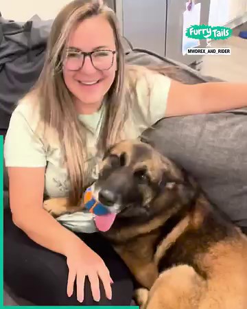 94K views · 6.7K reactions | After serving their country for 14 years, Rex and Rider are now enjoying their retirement! ❤️ | Furry Tails | Facebook