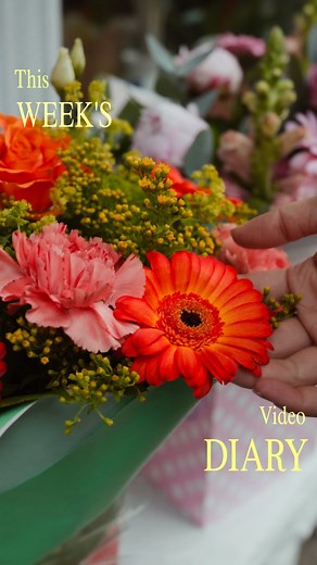 Michelle | Another week another vlog😛 It’s super fun filming these and it’s getting me used to filming in public so expect many moreee xxx... | Instagram