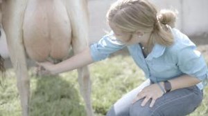 Local Florida dairy farmers are taking the next step in sustainability. Larson Dairy farms are partnering with global-waste solutions BRIGHTMARK on methane digesters that turn cow manure into renewable natural gas. https://bit.ly/FDFSustainability #undeniablydairy #floridamilk | Florida Milk | Facebook