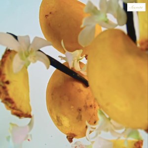 Secrets Mango Summer; the perfumed body lotion that embodies the essence of a sun-kissed summer day. 🌞✨ It's a skincare essential that not only nourishes your skin but also lifts your spirits. Pure radiance and warmth all together. 🌼🍂 . . . . #secrets #mangosummer #yellowhue #perfumes #enchanting #bodylotion | Secrets Sri Lanka